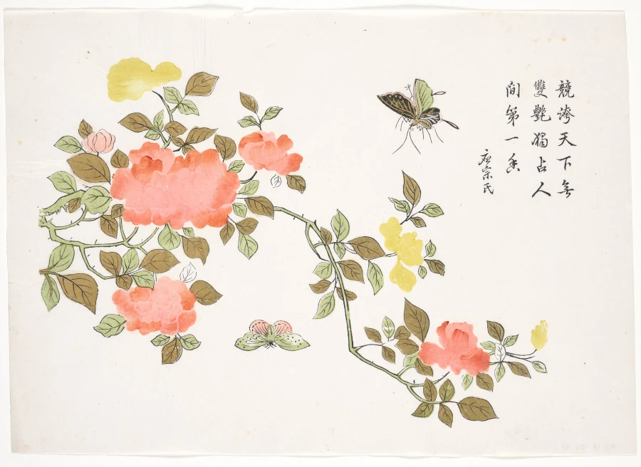 历史纹样参考，非本店现货：《蔷薇双蝶》历史彩色版画。蔷薇与两只蝴蝶木版画；不要把蔷薇标成牡丹。