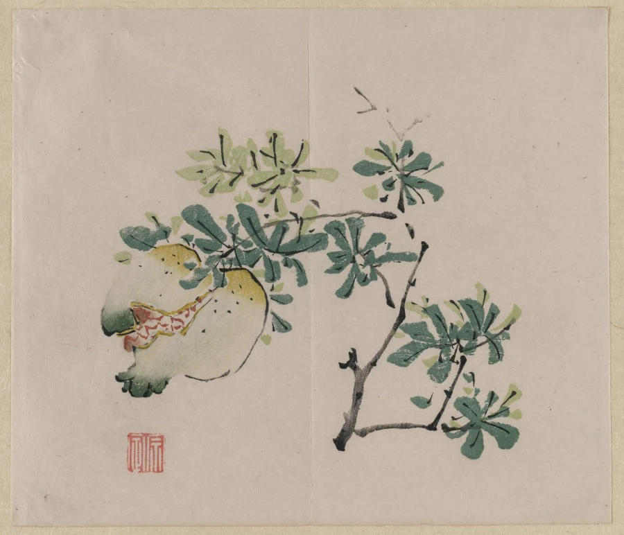 历史纹样参考,非本店现货:《石榴枝》历史版画。版画中开裂石榴与显露的籽,适合说明多籽图像。